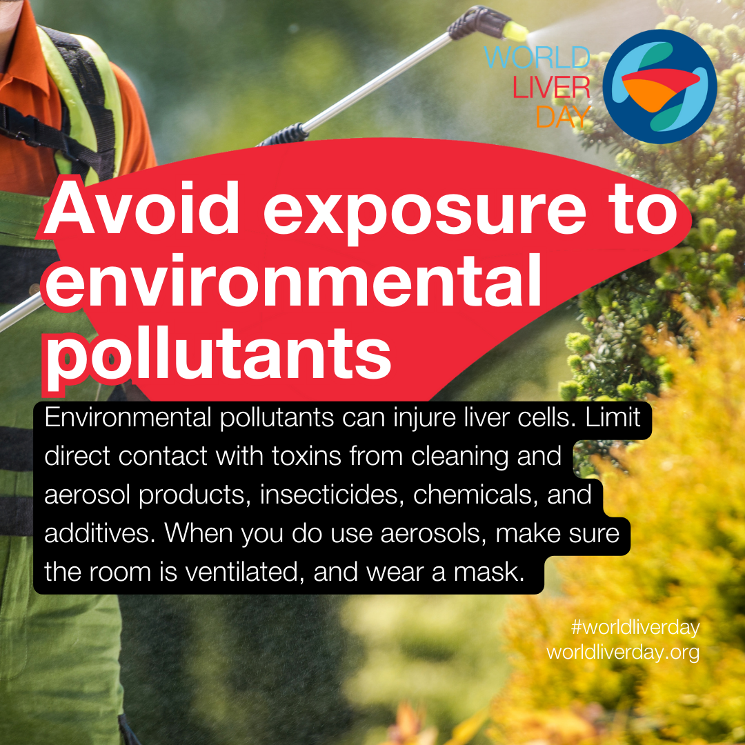 WLD 2024 - Environmental pollutants